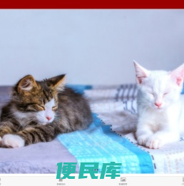 九正家居网手机版