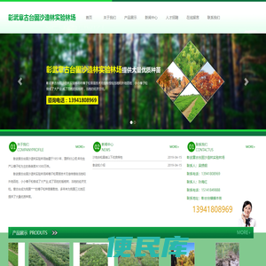 彰武章古台固沙造林实验林场