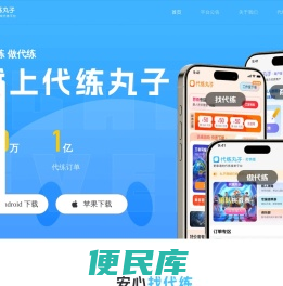 代练丸子官网