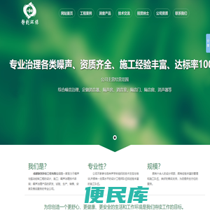 专业噪声治理公司