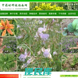 中药材种植指南网