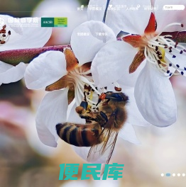 陕西师范大学国际商学院
