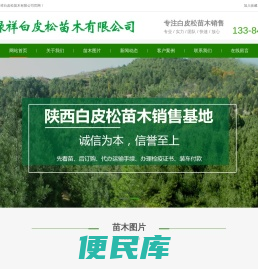 西安绿祥白皮松苗圃