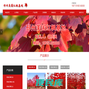 美国红枫价格