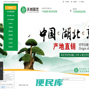对节白蜡,对节白蜡盆景,对节白蜡价格,对节白蜡景观树