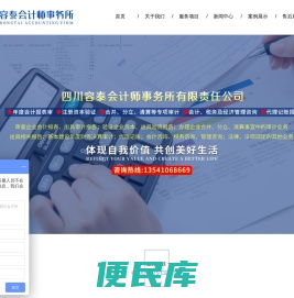 [容泰会计师事务所]审计报告