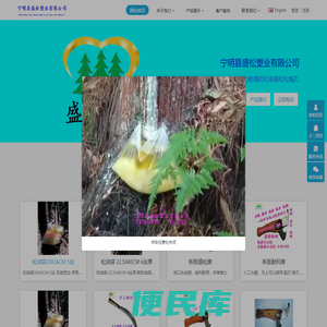 宁明县盛松塑业有限公司
