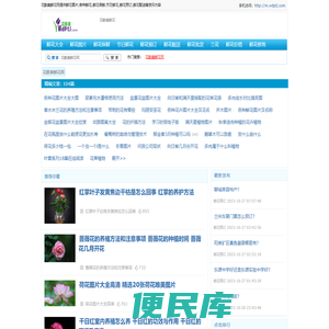 花醉美鲜花网