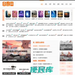 查过网