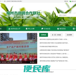 广西柳州供销合作联社
