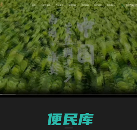 蚕丝被
