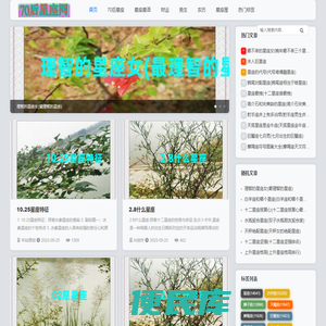 70后星座网