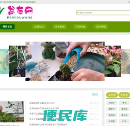 分享盆栽植物种植方法和养护管理知识