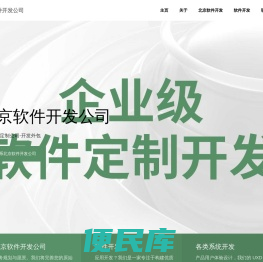 北京软件定制公司