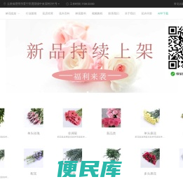 鲜花批发xhpf.com