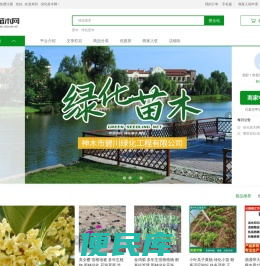 绿化苗木网