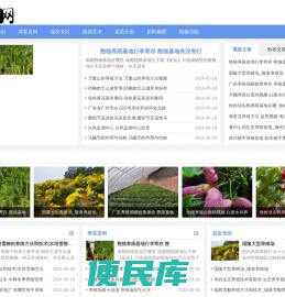 花欢网