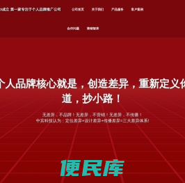 网络公司