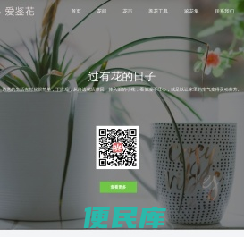 爱鉴花