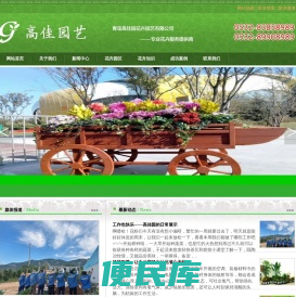 青岛花卉
