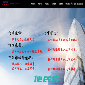 四川飞宇电力股份有限公司