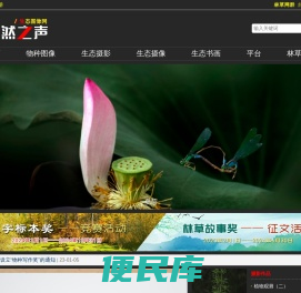自然之声