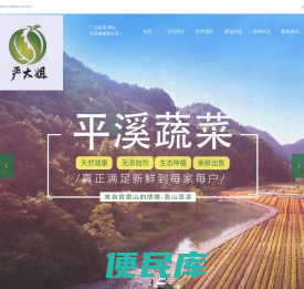 广元市朝天区平溪蔬菜专业合作社