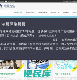 网络营销策划