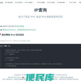 IP查询(ipw.cn)