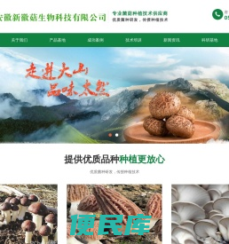 合肥食用药用菌种植