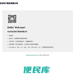 互联网技术服务提供商