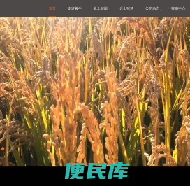 羲牛智能