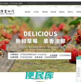 重庆草莓采摘