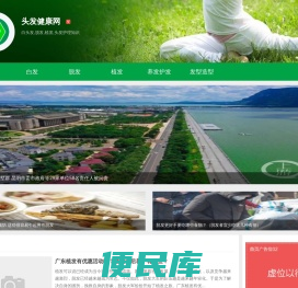 白头发,脱发,植发