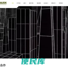 泰美安国际