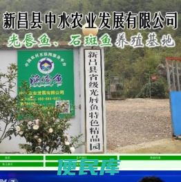 石斑鱼,光唇鱼养殖基地