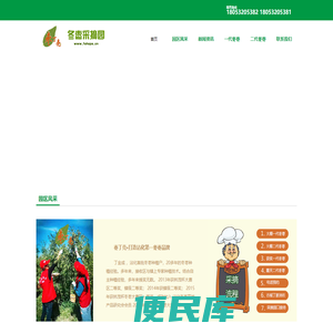 沾化冬枣
