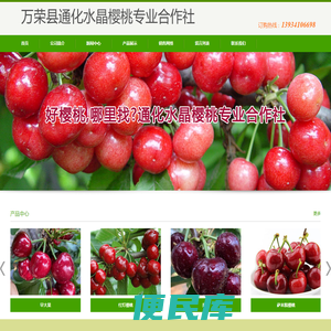 万荣县通化水晶樱桃专业合作社