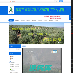 陇南富江油橄榄苗木种植网（油橄榄苗木