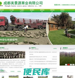 成都台湾二号草坪卷