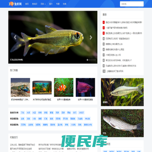 鱼虾网
