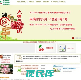 潍坊大樱桃采摘园