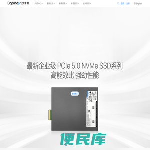 领先的企业级芯片及SSD存储方案提供商