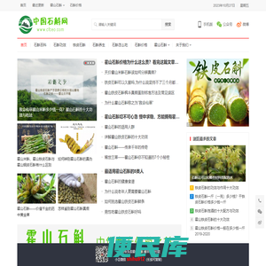 中国石斛网