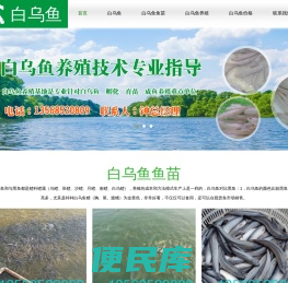 白乌鱼