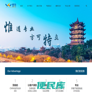 武汉惟特信息技术有限公司