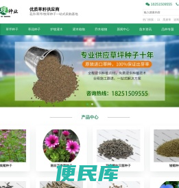 进口草坪种子批发供应商