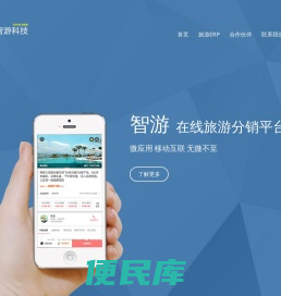 智游科技