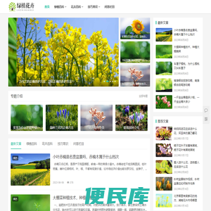 常见绿植花卉如何种植,植物百科,花卉寓意
