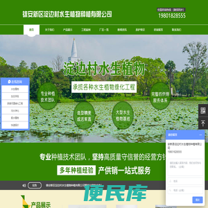 雄安新区淀边村水生植物种植有限公司